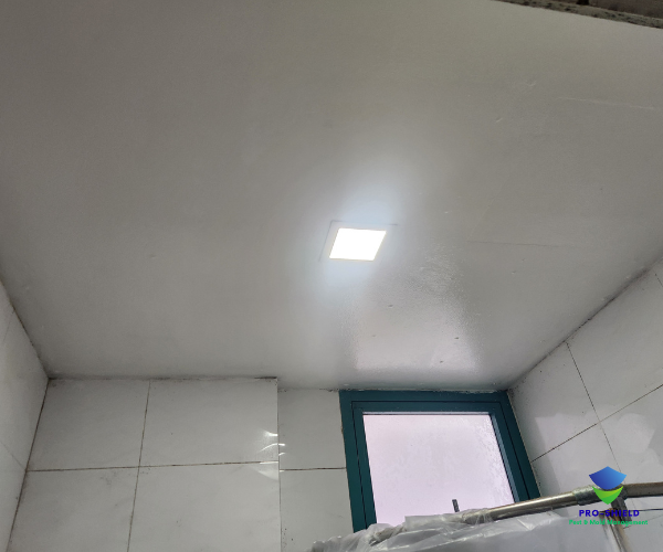 Mould remediation work — ceiling treatment, before/after